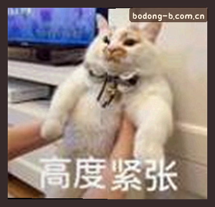 张涛